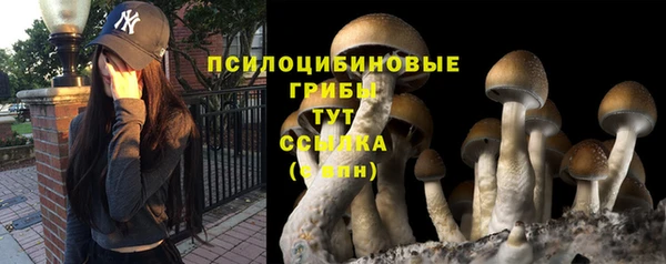 мяу мяу кристалл Армянск