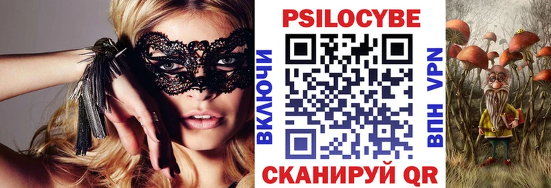 shop телеграм  Сосновоборск  Псилоцибиновые грибы Psilocybine cubensis 